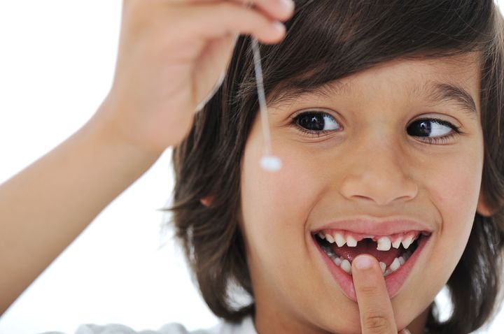 Какие зубы выпадают у детей: схема